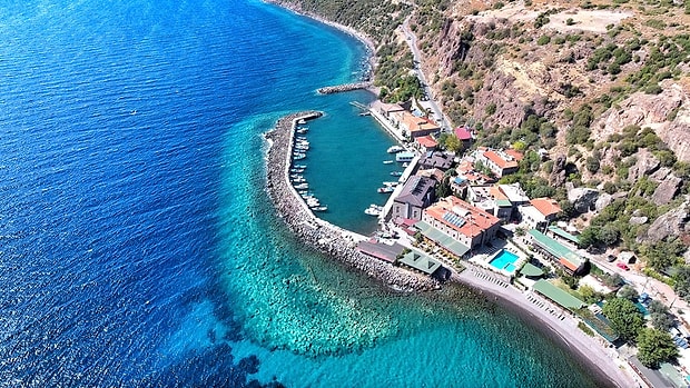 Assos