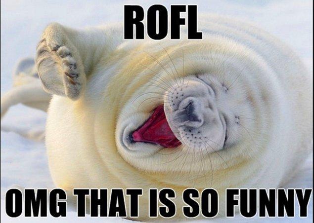 5. ROFL: "gülmekten yerlere yattım" anlamına gelen "rolling on the floor laughing"