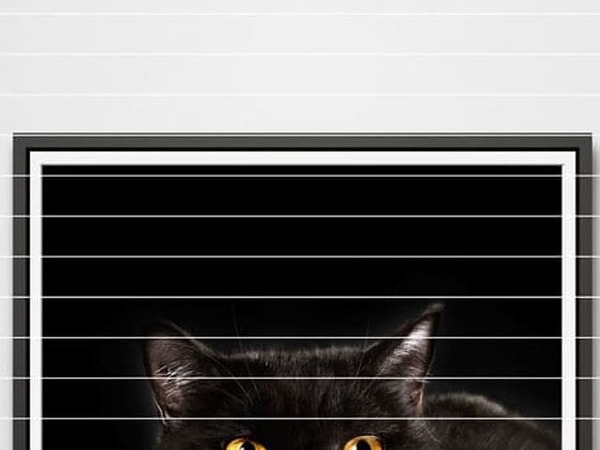 Показать правильный ответ