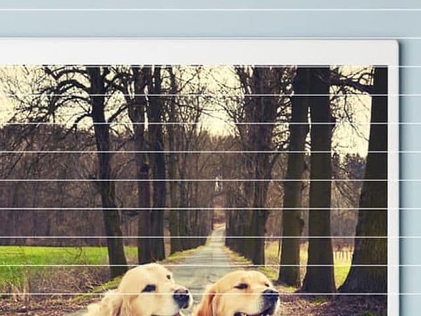 Показать правильный ответ