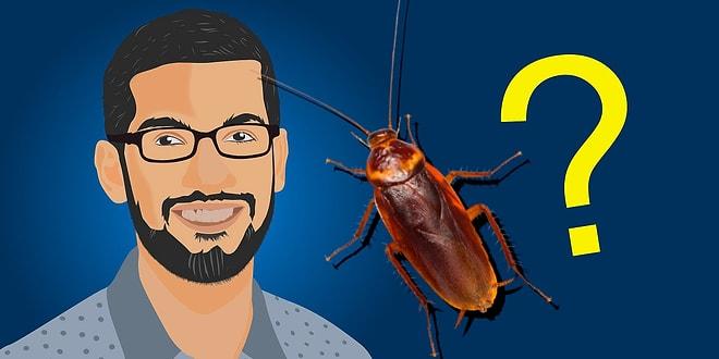 Google'ın Hintli CEO'su Sundar Pichai'den Stresten Kurtulmanın Reçetesi: Hamam Böceği Teorisi