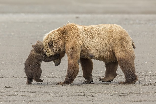 15. 📸 Ashleigh Scully, Alaska
