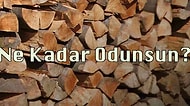 Ne Kadar Odunsun?