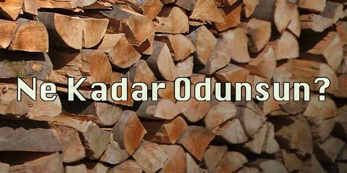 Ne Kadar Odunsun?