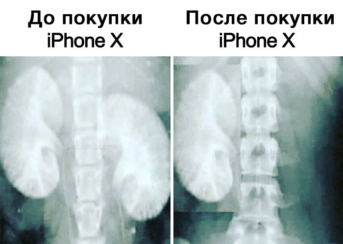 Смешно и грустно: реакция социальных сетей на выход нового IPhone
