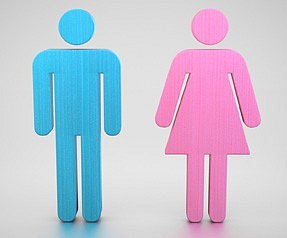 Ваш мозг на 50% женского пола, на 50% мужского пола!