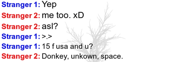 14. ASL?: "age, sex, location?" или "возраст, пол, место жительства"