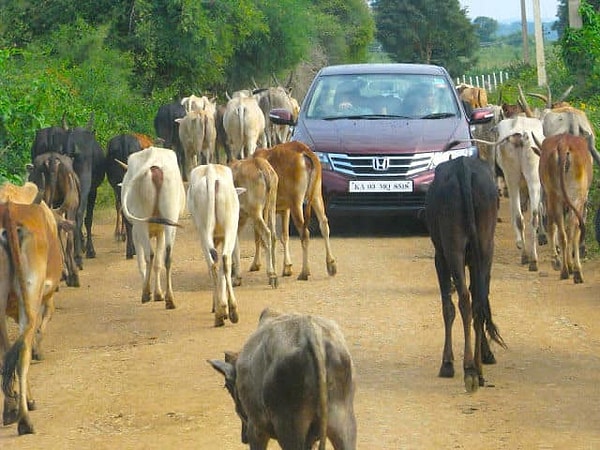 3. Что ты делаешь, когда попадаешь в пробку?