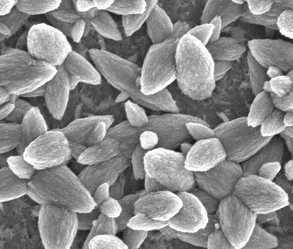 6. Нанотехнологическая катастрофа