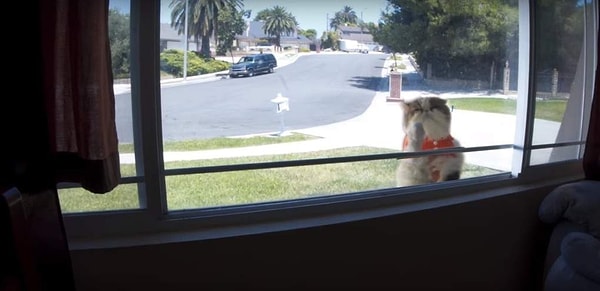 1. Встречает гостей...