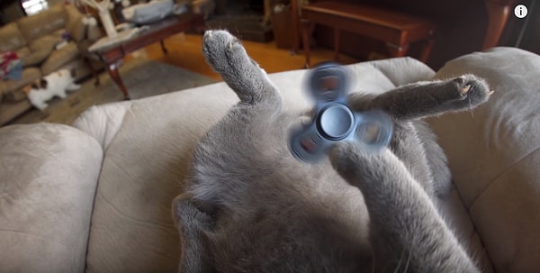 7. Следует модным тенденциям...