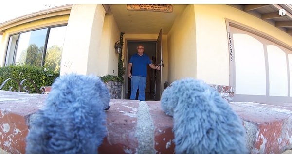 8. Ходит в гости, и еще много чего!