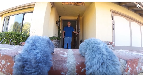 Парень надел на кота камеру, чтобы узнать, чем тот занимается, пока его нет. И вот что из этого получилось :)