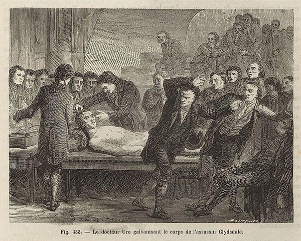 6. В результате эксперимента труп жутковато двигался в течение часа. Кое-кто из аудитории даже упал в обморок.