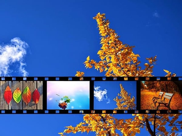 8. А теперь выберите идеальное кино для просмотра осенним вечером: