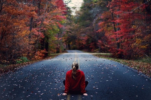 Отправьтесь фотографировать осеннюю природу!