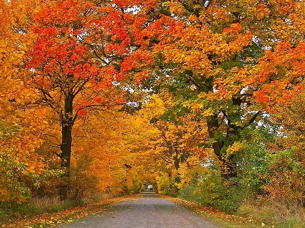Совершите поездку в соседний город!