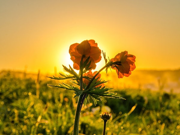 Вы всего лишь стеснительный человек!