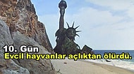 Dünyanın Çivisini Çıkarttık! İnsanlık Bir Anda Dünya'dan Yok Olsa Ne Olurdu?