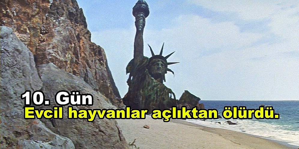 Dünyanın Çivisini Çıkarttık! İnsanlık Bir Anda Dünya'dan Yok Olsa Ne Olurdu?