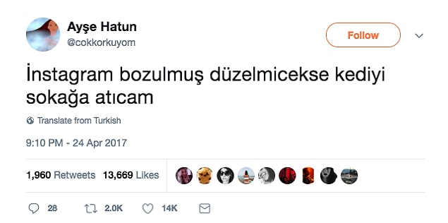 5. Bunu da puanladıysan bir sonraki aşamaya geçelim.