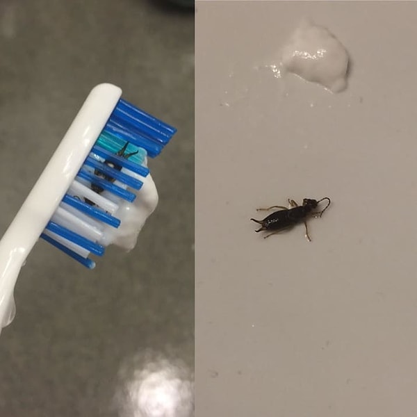 18. Буээээ 😶