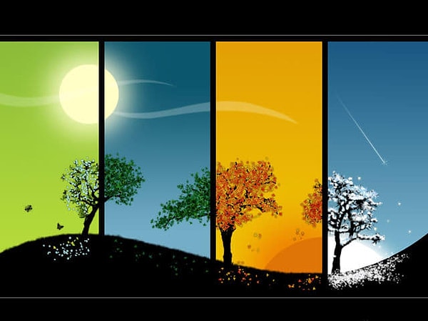 4. Ваша любимая пора года - это...?