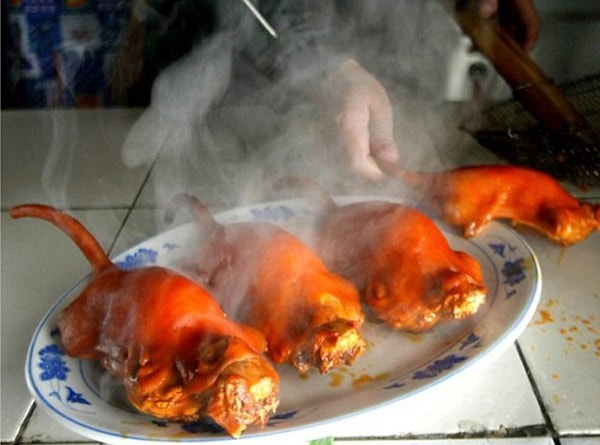 7. Крысы, Мексика