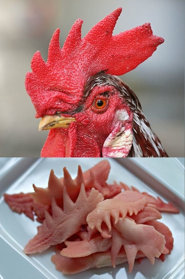 10. Петушиный гребешок, Италия