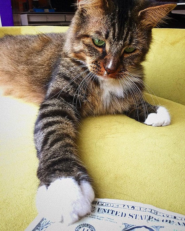 4. "Деньги продолжали появляться, хотя мы не знали, почему. Тогда мы решили проверить одну теорию".