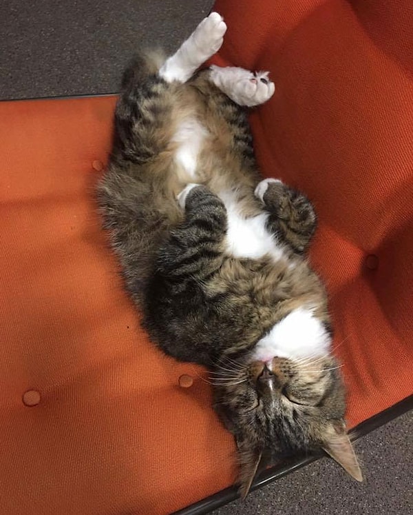 7. «Думаю, сперва люди не хотели терять свои деньги. Наверное, они просто хотели поиграть с ним, а он отбирал купюры».