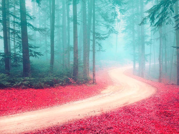 3. Что выберете тут?