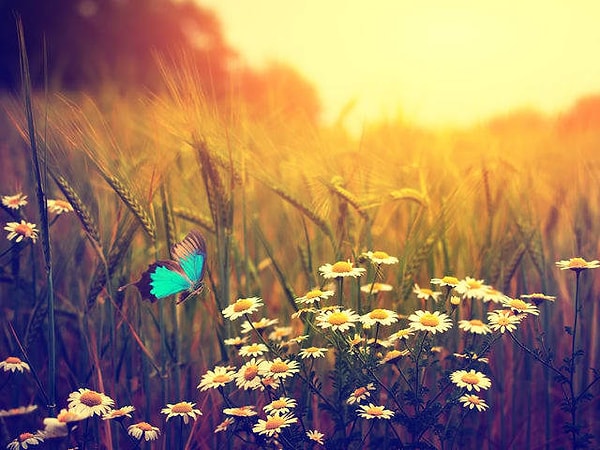 11. Осталось немного, продолжаем выбирать цвет...