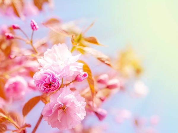 15. И наконец...