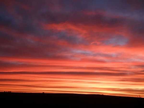 5. Продолжаем выбирать: