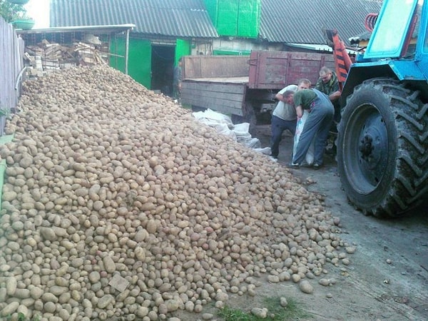 11. Ё-моё, да здесь же можно утонуть!😱