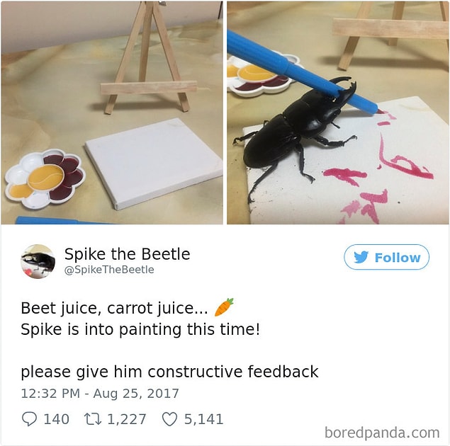 2.