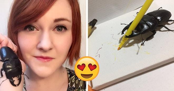 Evcil Hayvan Seçimini Bir Geyik Böceğinden Yana Kullanan Kadının Kırıp Geçiren Tweetleri