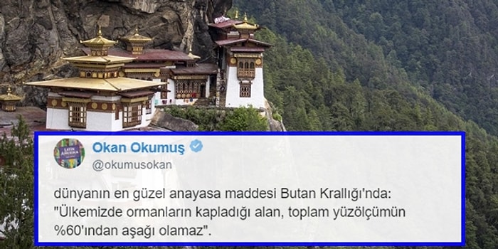 Hayat Felsefesi Öğrenme Odaklı Olan Herkesin Zihnini Berraklaştıracak 19 Tweet