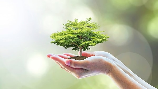 10. Высокая мода повлияла на окружающую среду