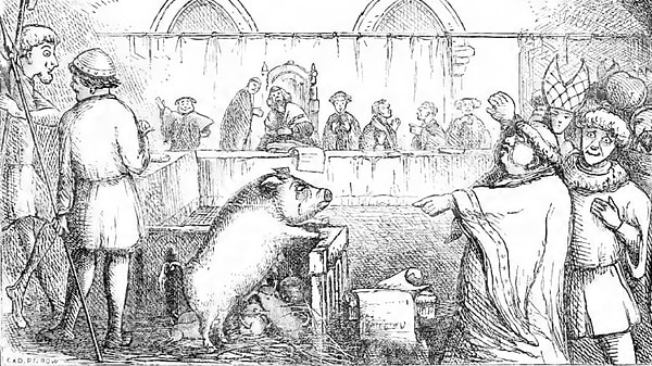 1. Животных привлекали к суду за их "преступления"