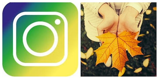 7 самых лучших фото и видео недели из нашего Инстаграма