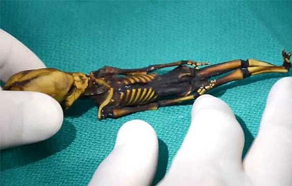 2. 15-20 cm uzunluğundaki bu iskelet, Şili'deki bir hayalet şehrin dışında bulundu.