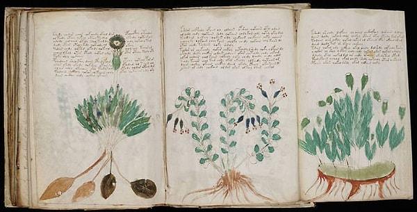 7. "The Voynich Manuscript" isimli 240 sayfalık kitap, 15. yüzyılın başlarında tamamen bilinmeyen bir dilde yazılmış.