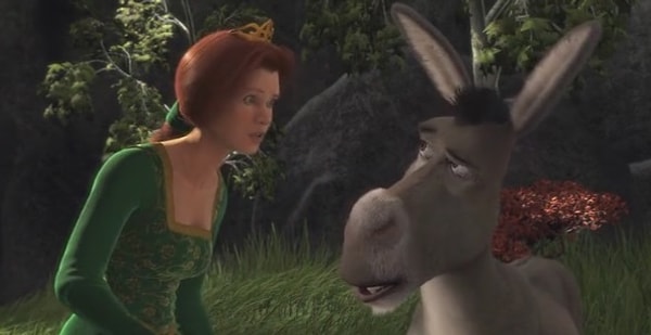 15. Какой цветок Фиона попросила принести Осла, когда Шрека ранили стрелой в зад?