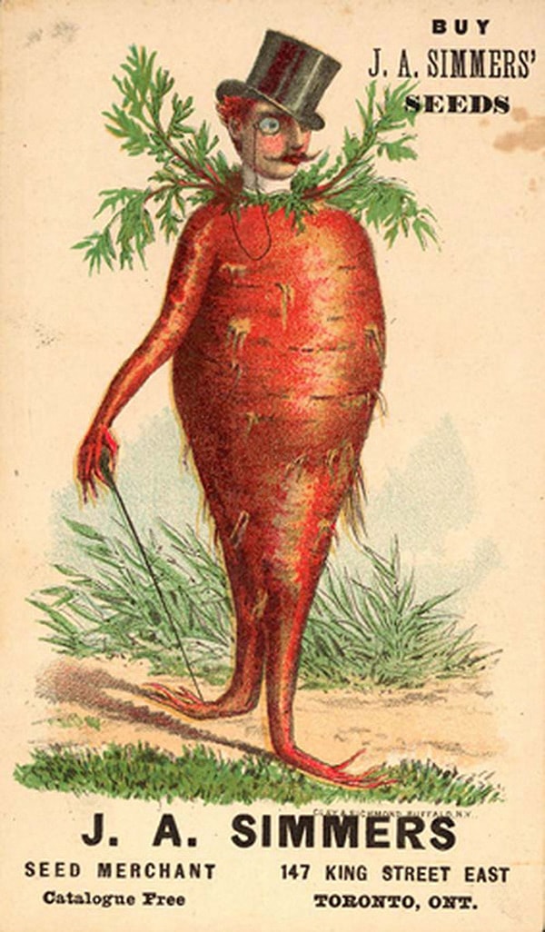 2. Не семена, а какая-то наркомания!