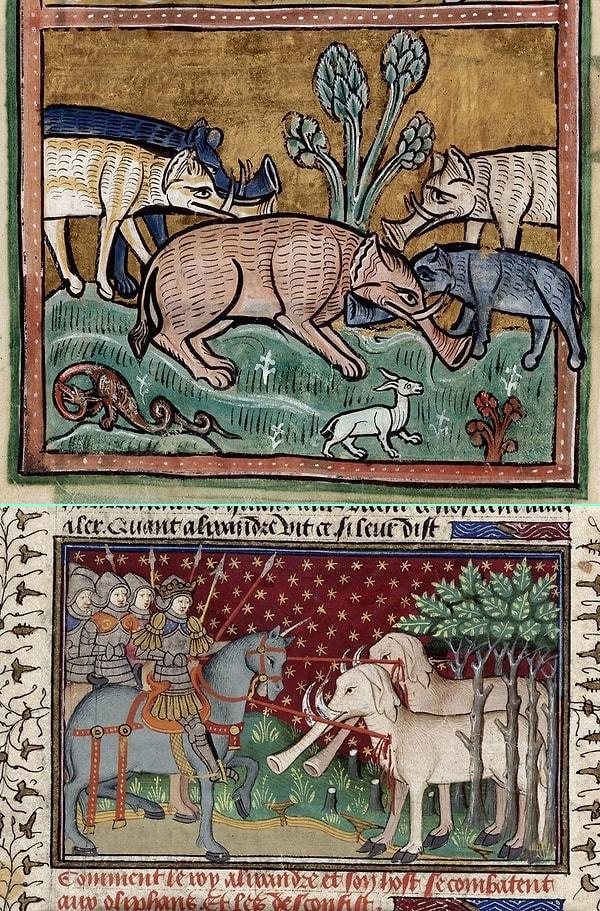13. Orta Çağ'da Avrupalı ressamlar fili sadece gezginlerin anlattıklarından biliyorlarmış. Bu yüzden ortaya böyle ilginç fil resimleri çıkmış.