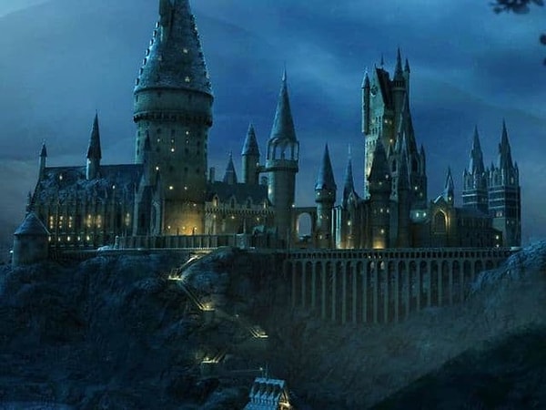 2. Если бы вы учились в Хогвартсе, какой предмет вы любили бы больше всего?