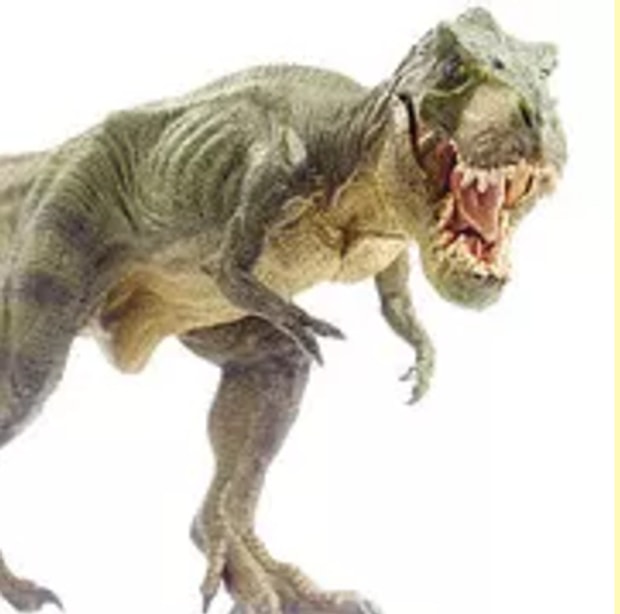 Tyranosaurus Rex