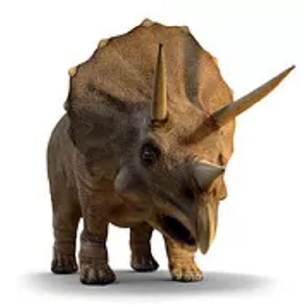 Triceratops